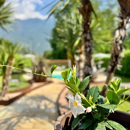 Apartamento Valcamonica - Mountain *